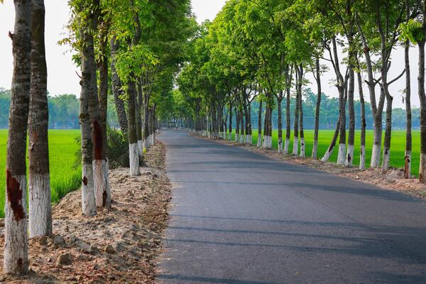 Village Road