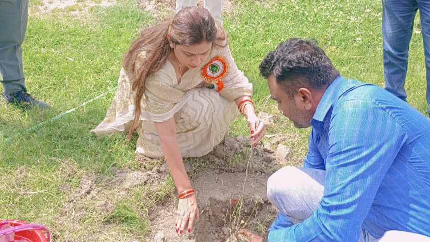 Tree Plantation Drive / वृक्षारोपण अभियान